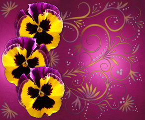 Three pansies magenta background colorful swirls