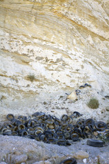 Ruedas coche usadas en montaña 3