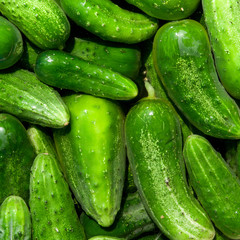 cucumbers
