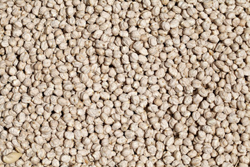 Chickpeas