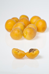 Fresh apricots, one cut in half