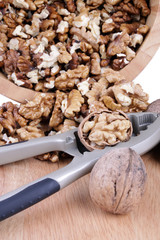 Walnut