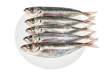 Raw mackerel on a plate. On a white background.