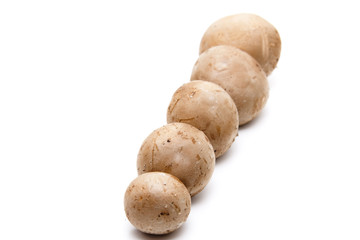 Champignons