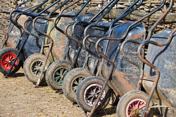 Fototapeta na wymiar Many wheelbarrows on the farm