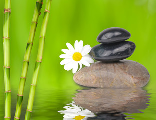 Feng Shui mit Bambus und Steinen
