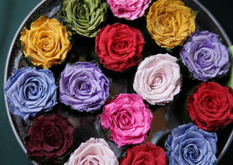 Konservierte Rosen