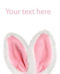 Bunny ears on a white background