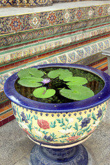 Fior di Loto nella Città Imperiale