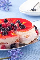 Piece of Fruit Yogurt Cake