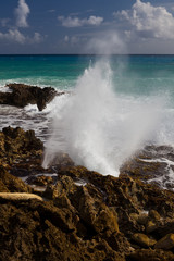 Vague soufflant dans la roche découpée en Guadeloupe