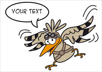 oiseau pigeon vol personnage message