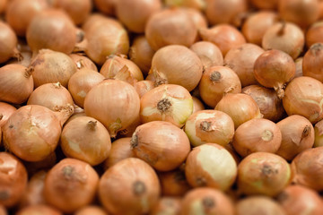 Tilt-shifted onions