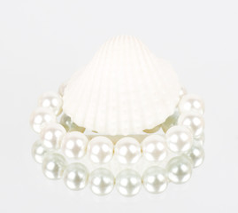 Beautiful exotic shell and pearls