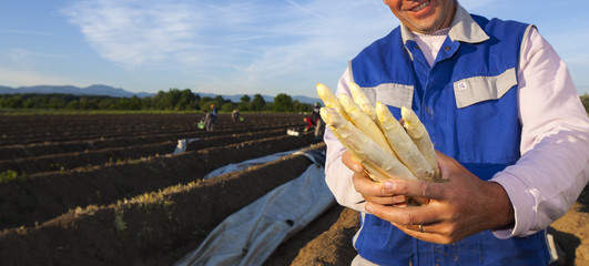 Spargel- jb photo-104-2
