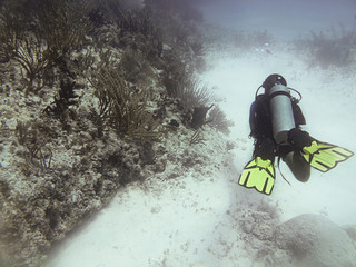 scuba diver