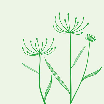 Plant on green background