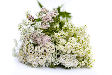 букет белых цветов © denova0