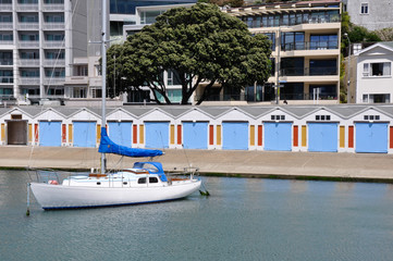 Harbor of Wellington, New Zealand © Noradoa