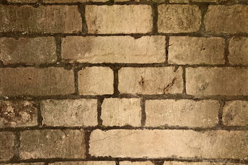 Brick wall in close up