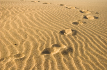 Moroccan Desert