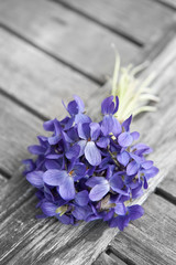 spring bouquet of violets on old wooden table