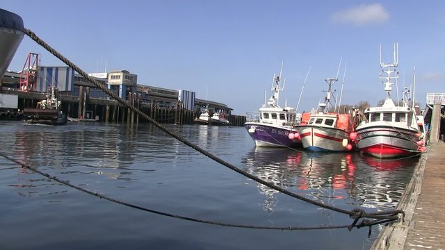 port de p&ecirc;che de Boulogne
