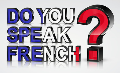 Do You Speak French?