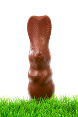 Naklejka premium Chocolate easter bunny on grass