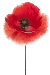 Fototapeta premium MAK