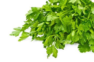 Green fresh seasoning for food