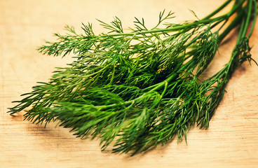 Sheaf of green dill