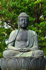 Buddha