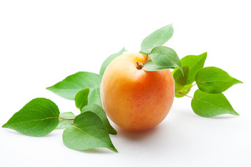 apricot with leaves on white. isolated
