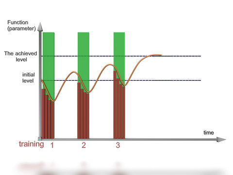 Schedule supercompensation on a white background №2