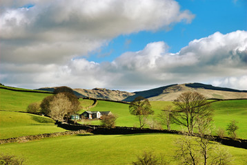 Obraz premium Beautiful green meadow and cloudy sky