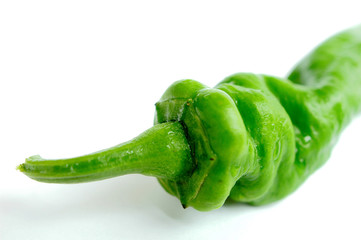 Green pepper