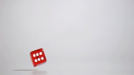 One red dice in a super slow motion rebounding - Powered by Adobe