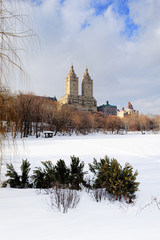 Obraz premium New York City Manhattan Central Park in winter