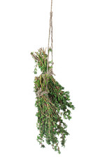 fresh green thyme hanging on rope isolated on white