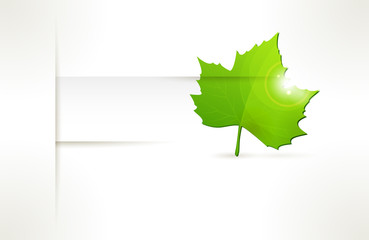 Vector label with green leaf