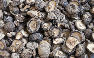 food background 