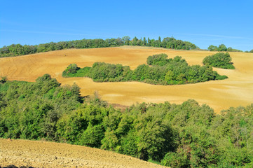 Fototapeta na wymiar Tuscany hills jesienią 10