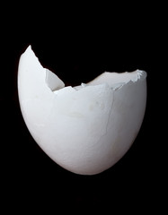 Egg shell