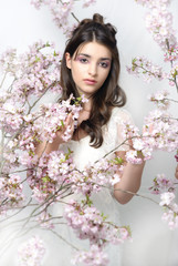 Fototapeta premium Cherry blossom