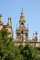 Fototapeta na wymiar Seville Cathedral detail
