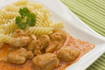 Chicken pieces with Pasta in Paprika Cream Sauce. Horizontally.