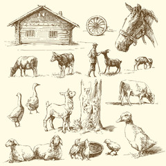 farm - hand drawn collection - 40348257