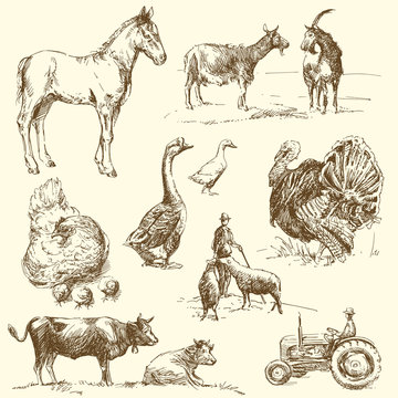 farm - hand drawn collection