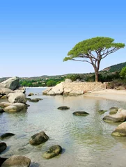 Fotobehang Palombaggia strand, Corsica Corsica strand